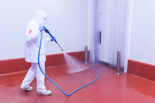 Best Soft Washing for Delicate Surfaces in Mystic Island, NJ